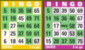 Play Bingo Online