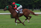Online Sports Betting Sites