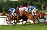 Virtual Horse Races