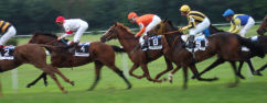 Virtual Horse Racing