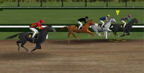 Virtual Horse Races