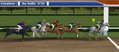 Virtual Horse Races